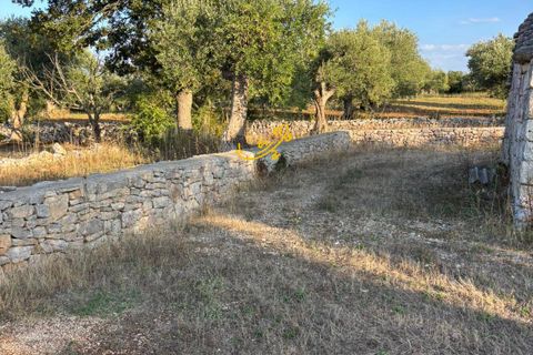 Landejendom i Alberobello, Bari, Alberobello - € 125.000 | Ref: R 521 - foto 19