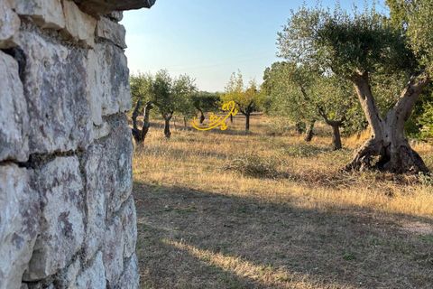 Landejendom i Alberobello, Bari, Alberobello - € 125.000 | Ref: R 521 - foto 22