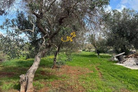 Landejendom i Ostuni, Brindisi, Ostuni - € 270.000 | Ref: R 524 - foto 8