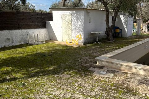 Landejendom i Ostuni, Brindisi, Ostuni - € 270.000 | Ref: R 524 - foto 36