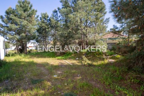Helårsgrund i Seixal, Setubal, Seixal - € 180.000 | Ref: W-02Z8T6 - foto 11