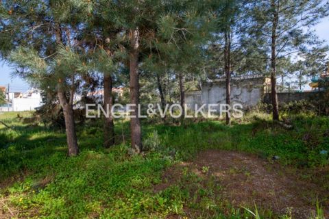 Helårsgrund i Seixal, Setubal, Seixal - € 180.000 | Ref: W-02Z8T6 - foto 12