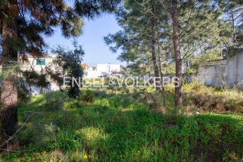 Helårsgrund i Seixal, Setubal, Seixal - € 180.000 | Ref: W-02Z8T6 - foto 14