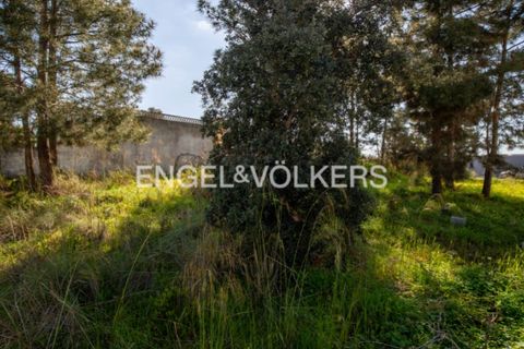 Helårsgrund i Seixal, Setubal, Seixal - € 180.000 | Ref: W-02Z8T6 - foto 16