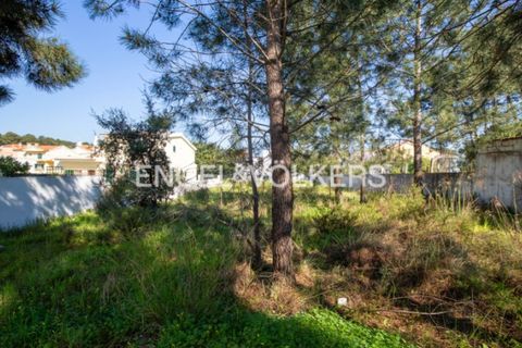 Helårsgrund i Seixal, Setubal, Seixal - € 180.000 | Ref: W-02Z8T6 - foto 22