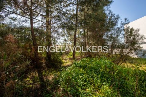 Helårsgrund i Seixal, Setubal, Seixal - € 180.000 | Ref: W-02Z8T6 - foto 23