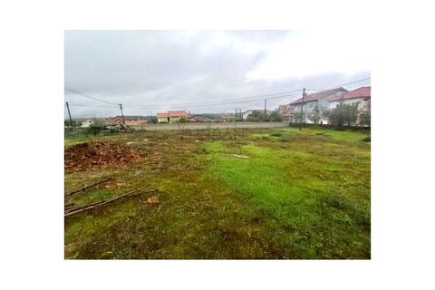 Helårsgrund i Tondela, Viseu, Tondela - € 57.000 | Ref: 0187 - foto 2