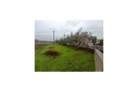 Helårsgrund i Tondela, Viseu, Tondela - € 57.000 | Ref: 0187 - foto 4