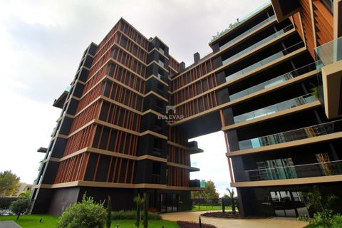 Lejlighed i Funchal, Madeira, Funchal - € 850.000 | Ref: 06A/2026 - foto 28