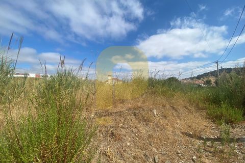 Villa i Arraiolos, Evora, Arraiolos - € 495.000 | Ref: PB2022230 - foto 12