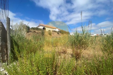 Villa i Arraiolos, Evora, Arraiolos - € 495.000 | Ref: PB2022230 - foto 14