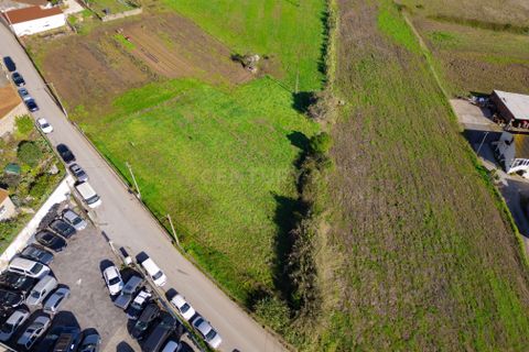 Helårsgrund i Alcobaca, Leiria, Alcobaca - € 54.000 | Ref: 0563-01857 - foto 7