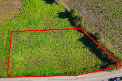 Helårsgrund i Alcobaca, Leiria, Alcobaca - € 54.000 | Ref: 0563-01857 - foto 8