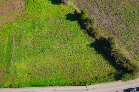 Helårsgrund i Alcobaca, Leiria, Alcobaca - € 54.000 | Ref: 0563-01857 - foto 11