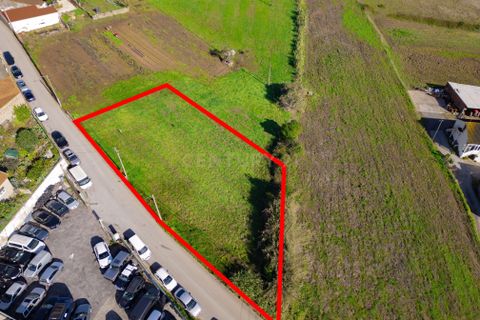 Helårsgrund i Alcobaca, Leiria, Alcobaca - € 54.000 | Ref: 0563-01857 - foto 12