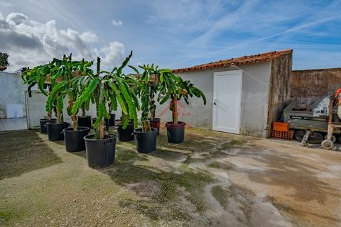 Villa i Torres Vedras, Lisbon, Torres Vedras - € 295.000 | Ref: M2534 - foto 14