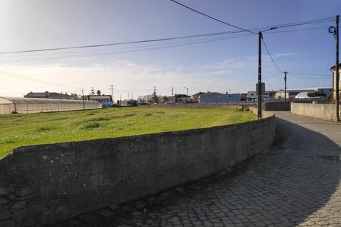 Helårsgrund i Terroso, Porto, Terroso - € 475.000 | Ref: TER_699 - foto 6