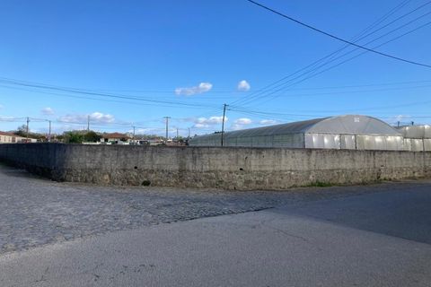 Helårsgrund i Terroso, Porto, Terroso - € 475.000 | Ref: TER_699 - foto 10