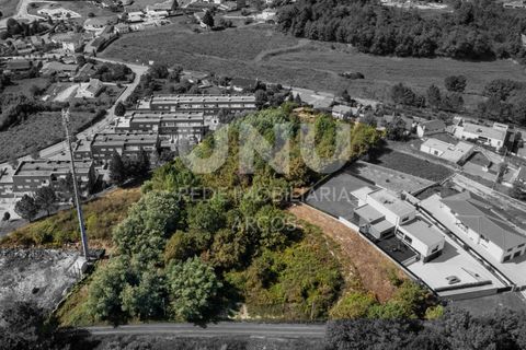 Helårsgrund i Arcos de Valdevez, Viana do Castelo, Arcos de Valdevez - € 1.500.000 | Ref: 469 - foto 8