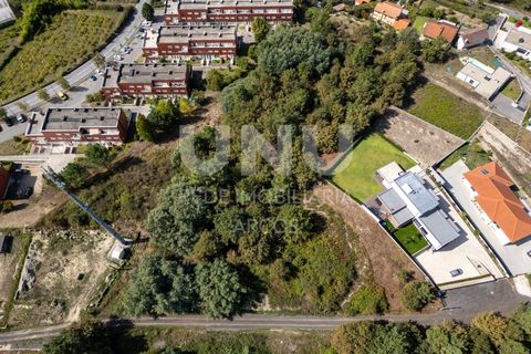 Helårsgrund i Arcos de Valdevez, Viana do Castelo, Arcos de Valdevez - € 1.500.000 | Ref: 469 - foto 9