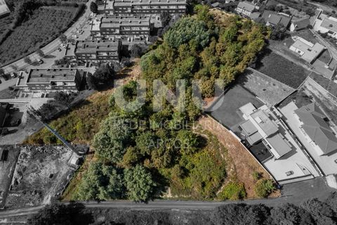 Helårsgrund i Arcos de Valdevez, Viana do Castelo, Arcos de Valdevez - € 1.500.000 | Ref: 469 - foto 10