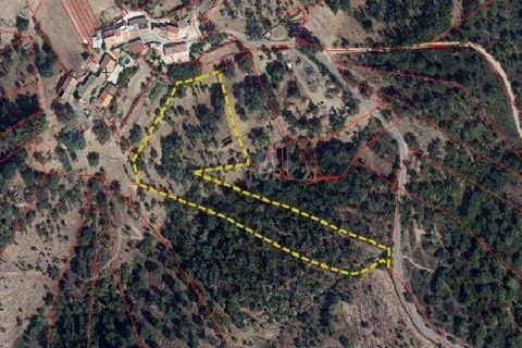 Villa i Almodovar, Beja, Almodovar - € 91.400 | Ref: C0507-00296 - foto 15