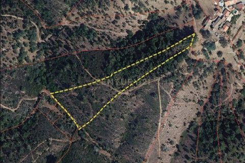 Helårsgrund i Almodovar, Beja, Almodovar - € 51.100 | Ref: C0507-00300 - foto 5