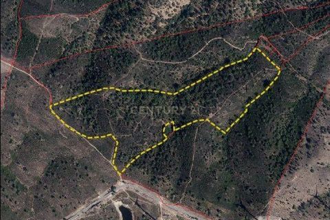 Helårsgrund i Almodovar, Beja, Almodovar - € 51.100 | Ref: C0507-00300 - foto 6