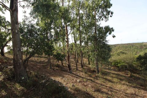 Helårsgrund i Almodovar, Beja, Almodovar - € 51.100 | Ref: C0507-00300 - foto 8