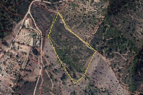 Helårsgrund i Almodovar, Beja, Almodovar - € 76.000 | Ref: C0507-00301 - foto 2