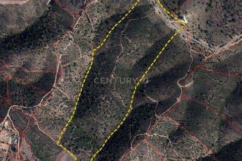 Helårsgrund i Almodovar, Beja, Almodovar - € 76.000 | Ref: C0507-00301 - foto 3