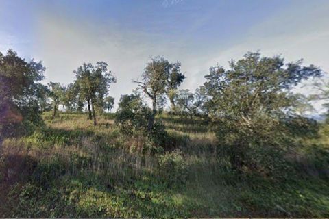 Helårsgrund i Almodovar, Beja, Almodovar - € 76.000 | Ref: C0507-00301 - foto 5