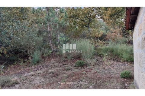 Helårsgrund i Penafiel, Porto, Penafiel - € 65.000 | Ref: MC09858 - foto 2