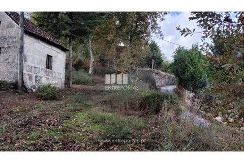Helårsgrund i Penafiel, Porto, Penafiel - € 65.000 | Ref: MC09858 - foto 4