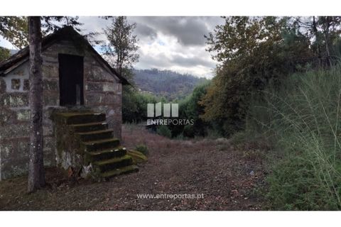 Helårsgrund i Penafiel, Porto, Penafiel - € 65.000 | Ref: MC09858 - foto 5