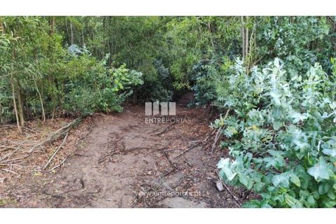 Helårsgrund i Penafiel, Porto, Penafiel - € 65.000 | Ref: MC09858 - foto 9