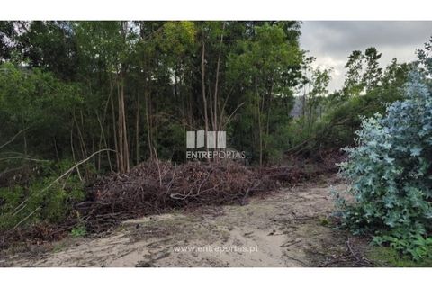 Helårsgrund i Penafiel, Porto, Penafiel - € 65.000 | Ref: MC09858 - foto 10