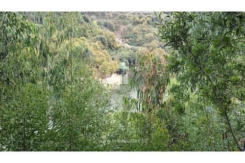Helårsgrund i Penafiel, Porto, Penafiel - € 65.000 | Ref: MC09858 - foto 13