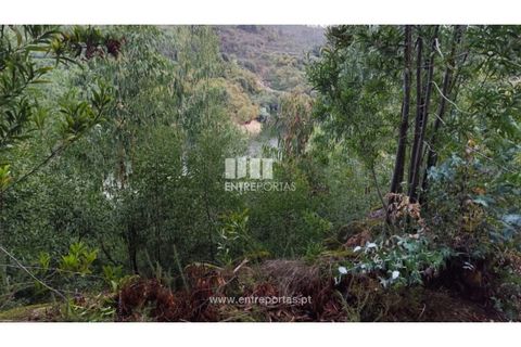 Helårsgrund i Penafiel, Porto, Penafiel - € 65.000 | Ref: MC09858 - foto 14