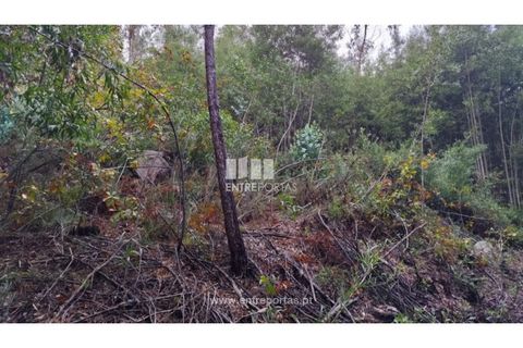 Helårsgrund i Penafiel, Porto, Penafiel - € 65.000 | Ref: MC09858 - foto 15
