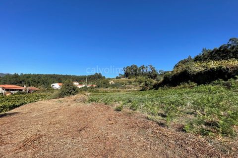 Helårsgrund i Moncao, Viana do Castelo, Moncao - € 16.000 | Ref: 4306 - foto 5