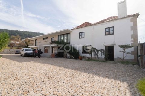 Villa i Viana do Castelo, Viana do Castelo, Viana do Castelo - € 750.000 | Ref: ZMPT582427 - foto 2