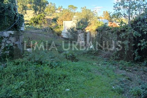 Ruinere i Ponte de Lima, Viana do Castelo, Ponte de Lima - € 150.000 | Ref: RUÏ_1106 - foto 10