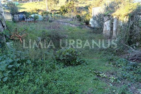 Ruinere i Ponte de Lima, Viana do Castelo, Ponte de Lima - € 150.000 | Ref: RUÏ_1106 - foto 13