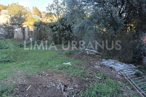 Ruinere i Ponte de Lima, Viana do Castelo, Ponte de Lima - € 150.000 | Ref: RUÏ_1106 - foto 19