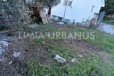 Ruinere i Ponte de Lima, Viana do Castelo, Ponte de Lima - € 150.000 | Ref: RUÏ_1106 - foto 20