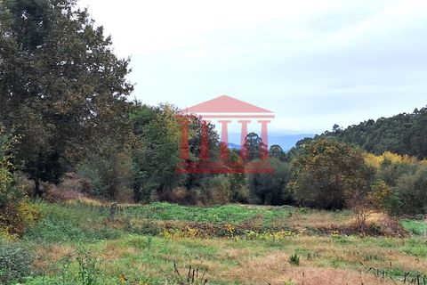 Helårsgrund i Vila Verde, Braga, Vila Verde - € 12.500 | Ref: 272T001071 - foto 1
