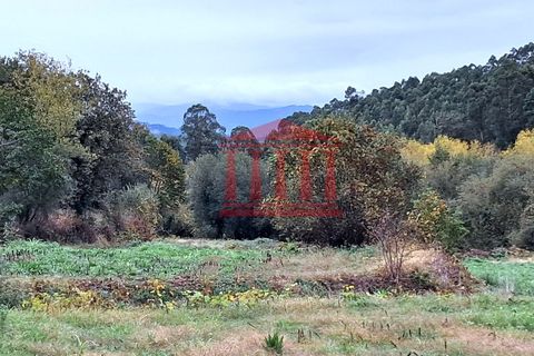 Helårsgrund i Vila Verde, Braga, Vila Verde - € 12.500 | Ref: 272T001071 - foto 2