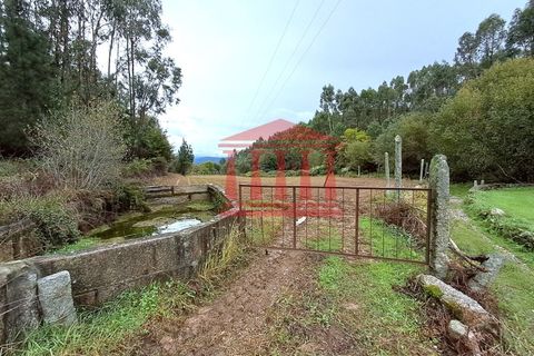 Helårsgrund i Barcelos, Braga, Barcelos - € 25.000 | Ref: 272T001070 - foto 1