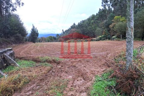 Helårsgrund i Barcelos, Braga, Barcelos - € 25.000 | Ref: 272T001070 - foto 2